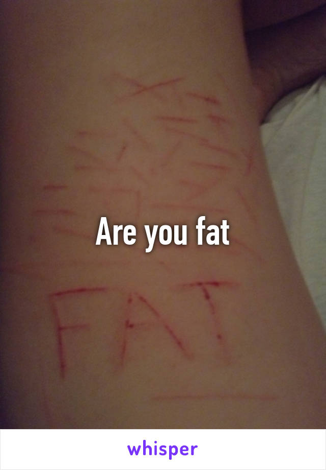 Are you fat