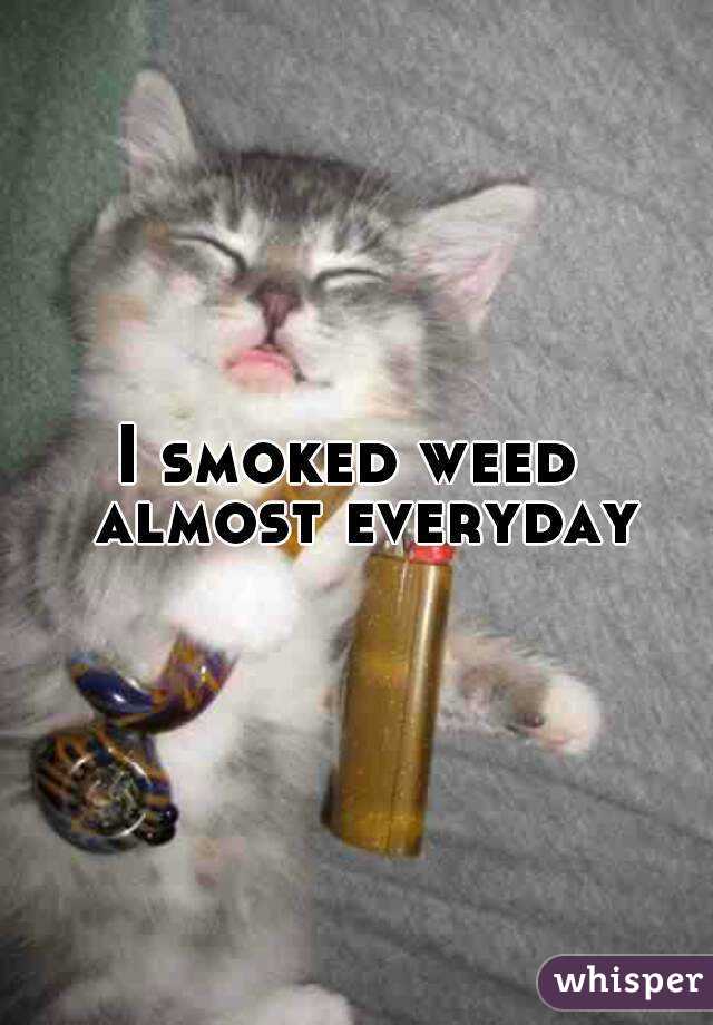 I smoked weed  almost everyday