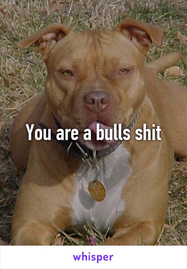 You are a bulls shit