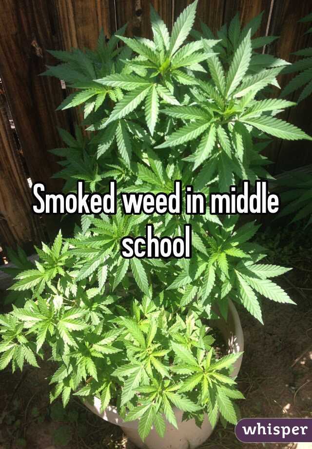 Smoked weed in middle school