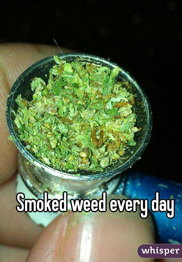 Smoked weed every day 