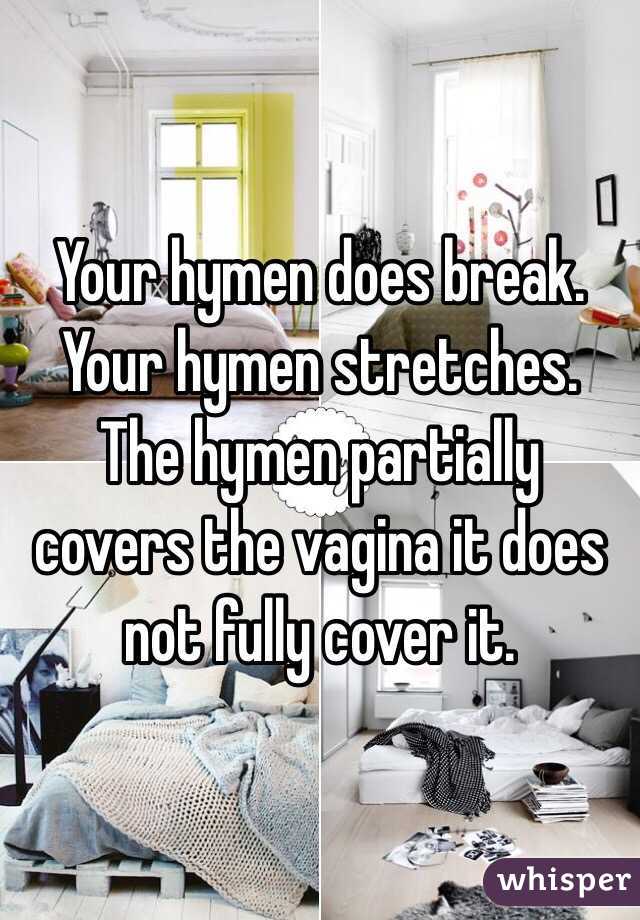 Your hymen does break. Your hymen stretches. The hymen partially covers the vagina it does not fully cover it.