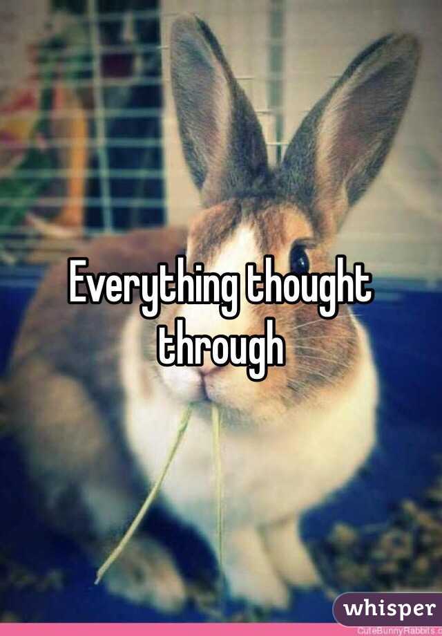 Everything thought through 