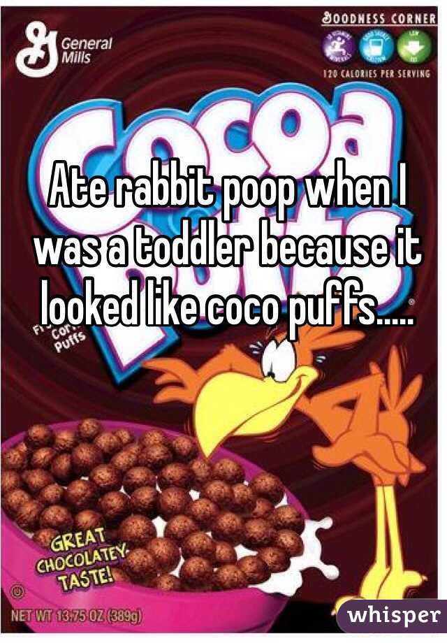 Ate rabbit poop when I was a toddler because it looked like coco puffs.....