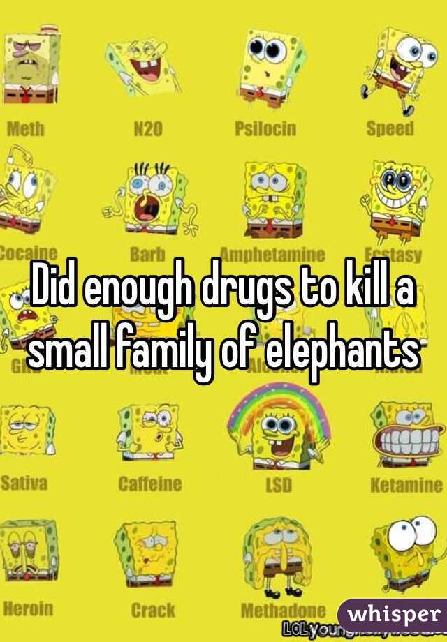 Did enough drugs to kill a small family of elephants 