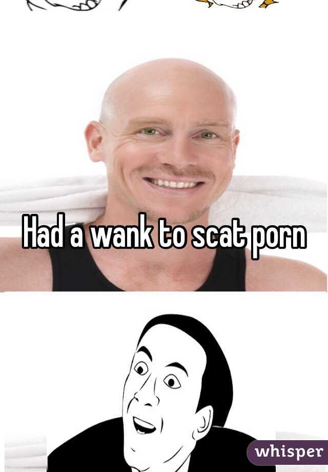 Had a wank to scat porn   