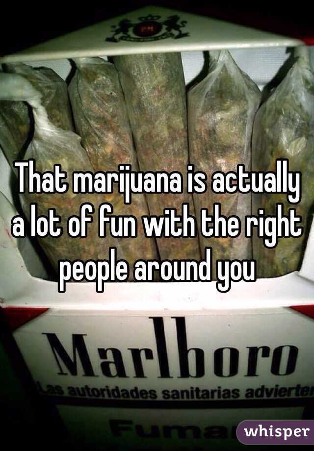 That marijuana is actually a lot of fun with the right people around you 