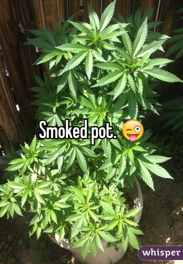 Smoked pot. 😜