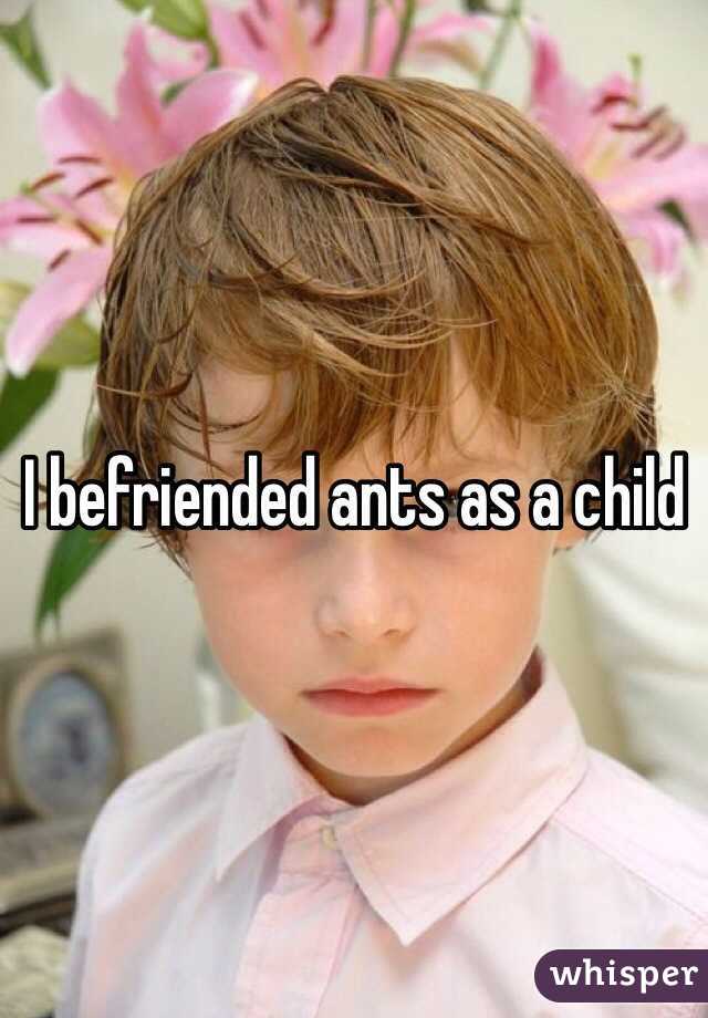 I befriended ants as a child