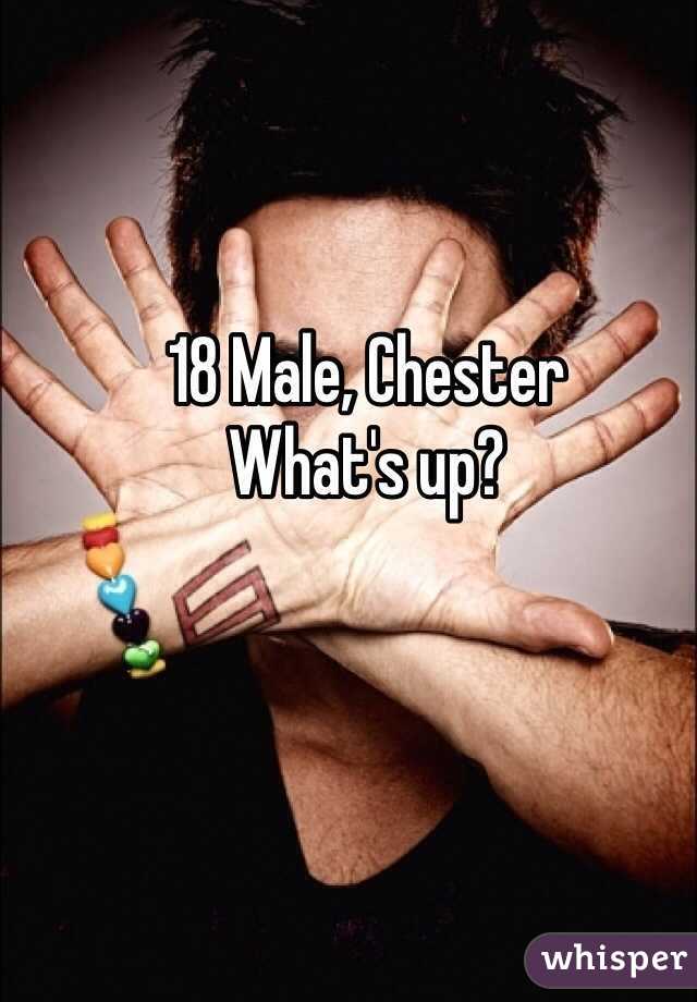 18 Male, Chester
What's up?