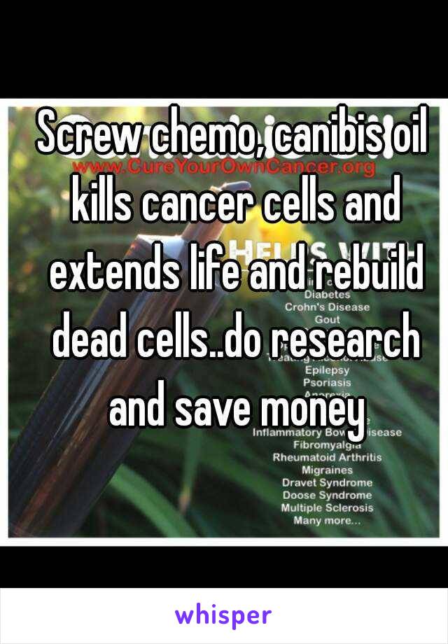 Screw chemo, canibis oil kills cancer cells and extends life and rebuild dead cells..do research and save money