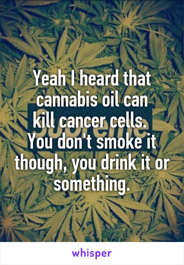 Yeah I heard that
 cannabis oil can 
kill cancer cells. 
You don't smoke it though, you drink it or something.