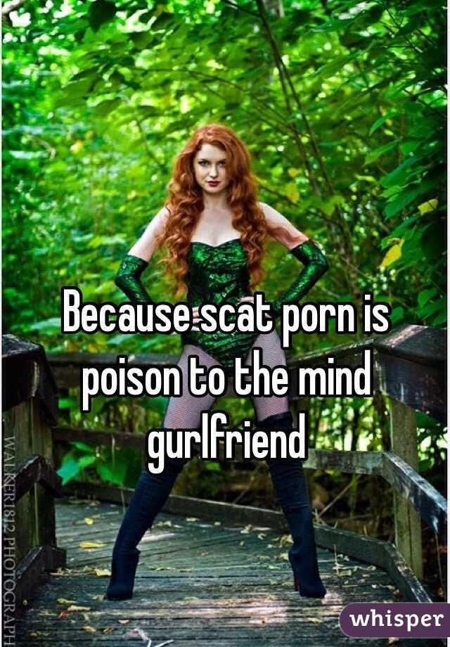 Because scat porn is poison to the mind gurlfriend