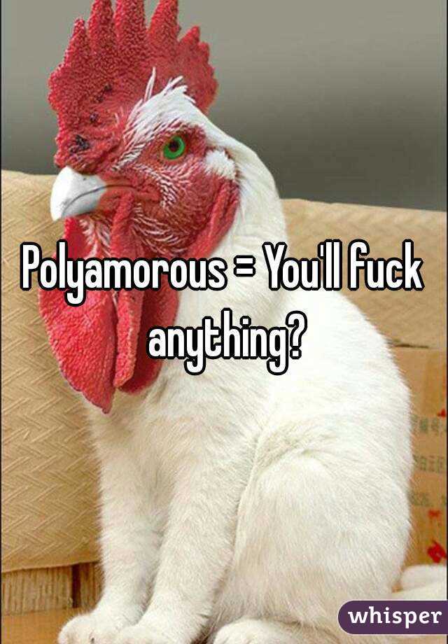 Polyamorous = You'll fuck anything?