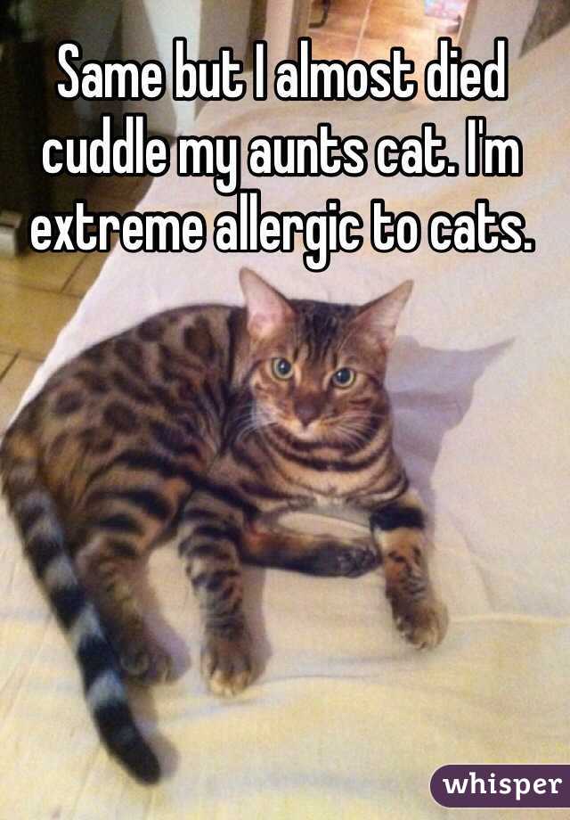 Same but I almost died cuddle my aunts cat. I'm extreme allergic to cats.