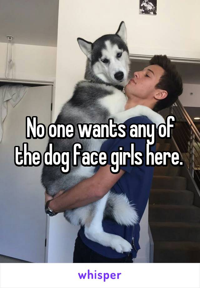 No one wants any of the dog face girls here. 