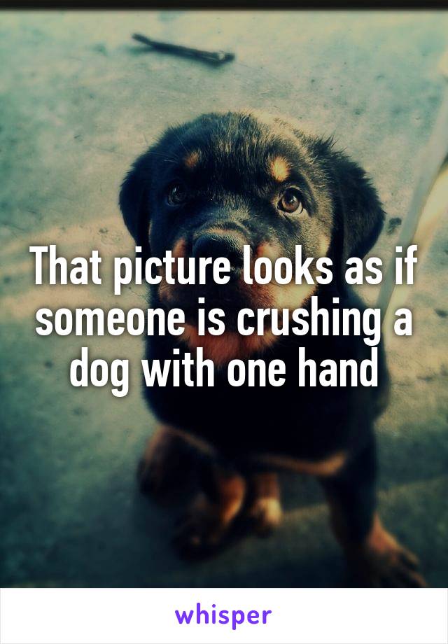 That picture looks as if someone is crushing a dog with one hand