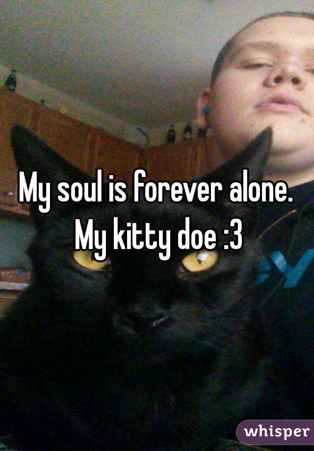 My soul is forever alone. My kitty doe :3