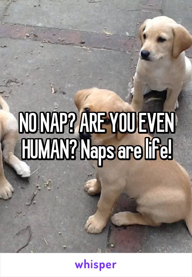 NO NAP? ARE YOU EVEN HUMAN? Naps are life!