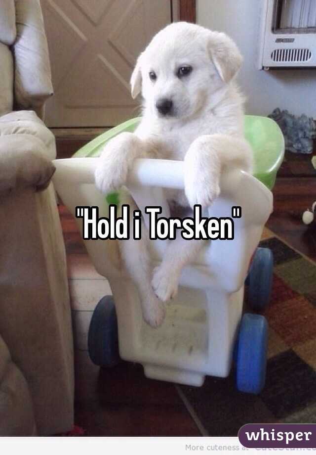 "Hold i Torsken"