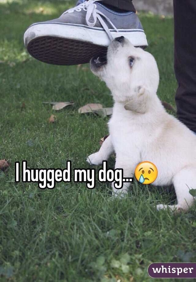 I hugged my dog...😢