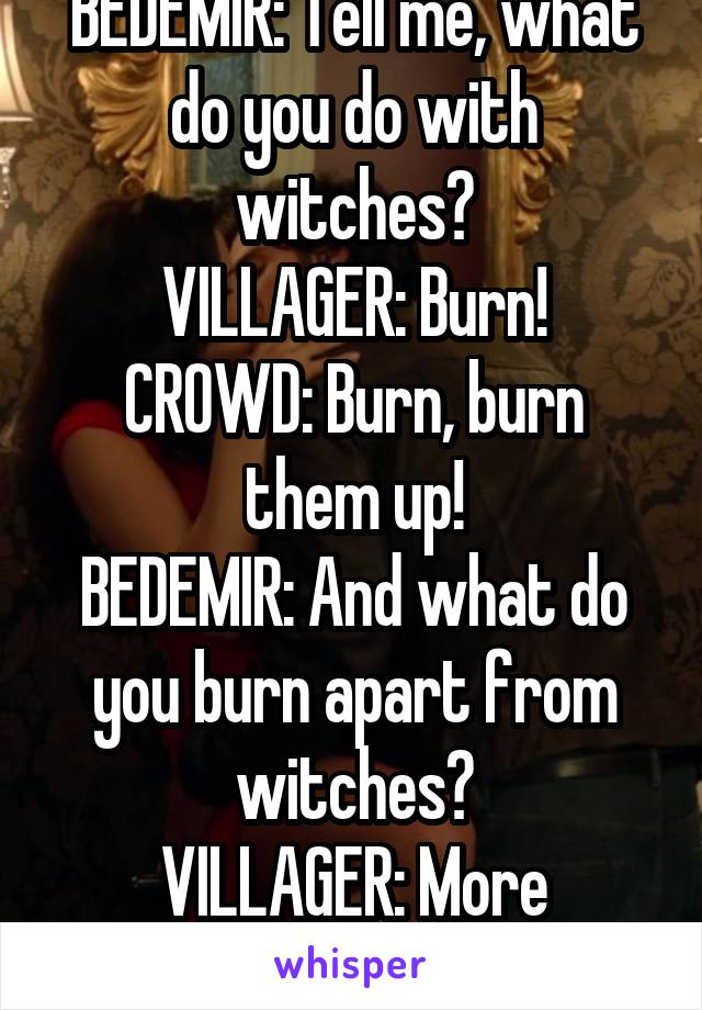 BEDEMIR: Tell me, what do you do with witches?
VILLAGER: Burn!
CROWD: Burn, burn them up!
BEDEMIR: And what do you burn apart from witches?
VILLAGER: More witches!