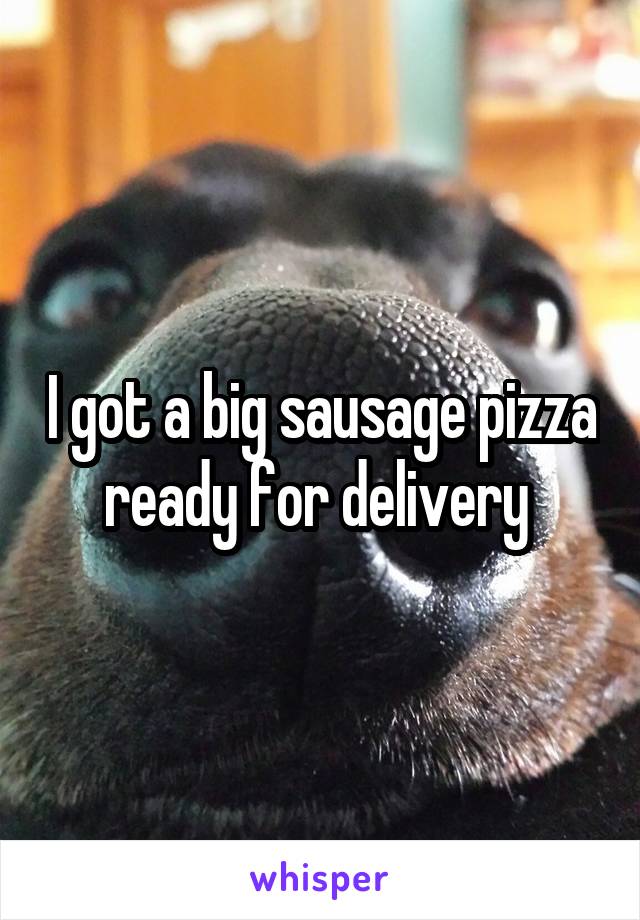 I got a big sausage pizza ready for delivery 