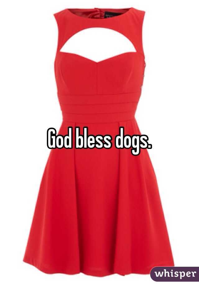 God bless dogs.