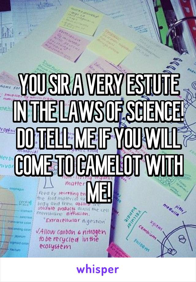 YOU SIR A VERY ESTUTE IN THE LAWS OF SCIENCE! DO TELL ME IF YOU WILL COME TO CAMELOT WITH ME!