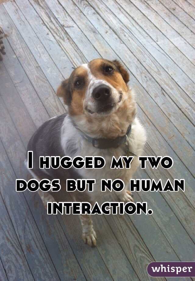 I hugged my two dogs but no human interaction. 