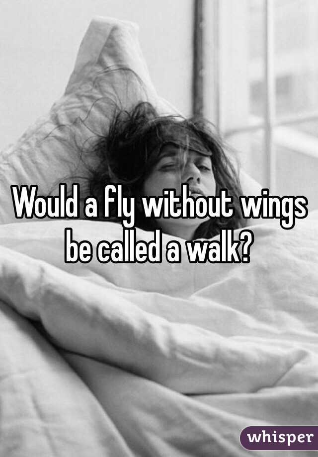 Would a fly without wings be called a walk?