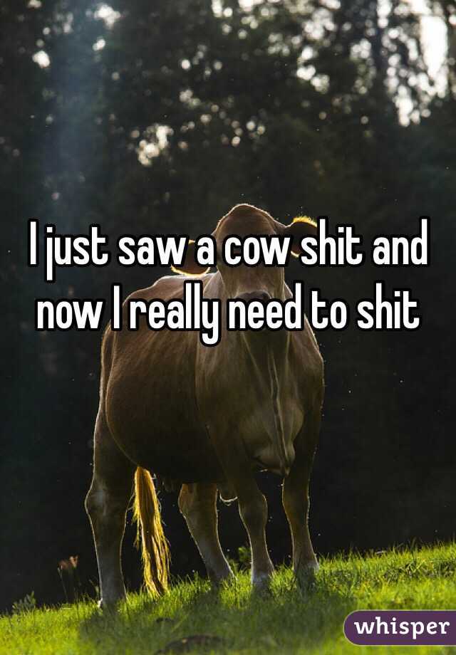 I just saw a cow shit and now I really need to shit