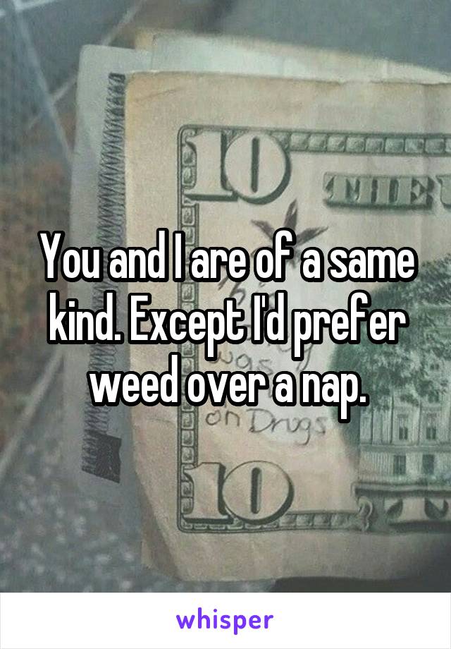 You and I are of a same kind. Except I'd prefer weed over a nap.