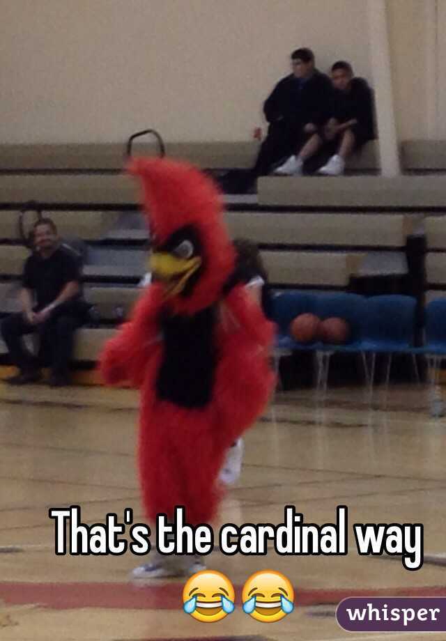 That's the cardinal way 😂😂