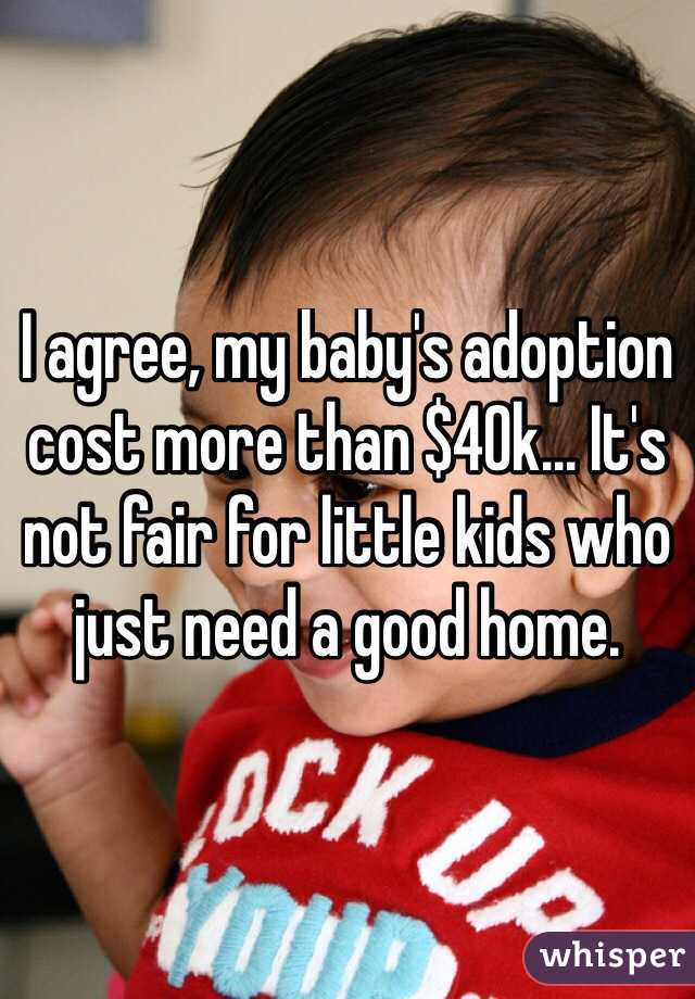 I agree, my baby's adoption cost more than $40k... It's not fair for little kids who just need a good home.
