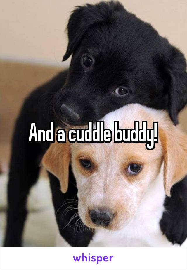 And a cuddle buddy! 