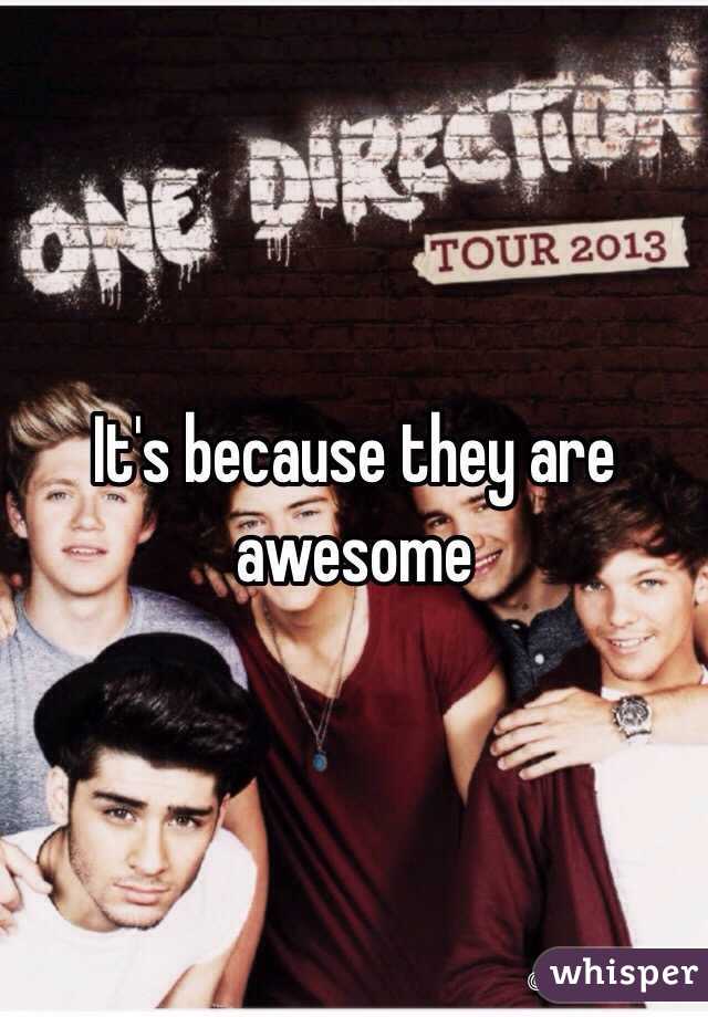 It's because they are awesome 