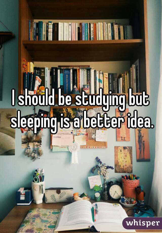 I should be studying but sleeping is a better idea.