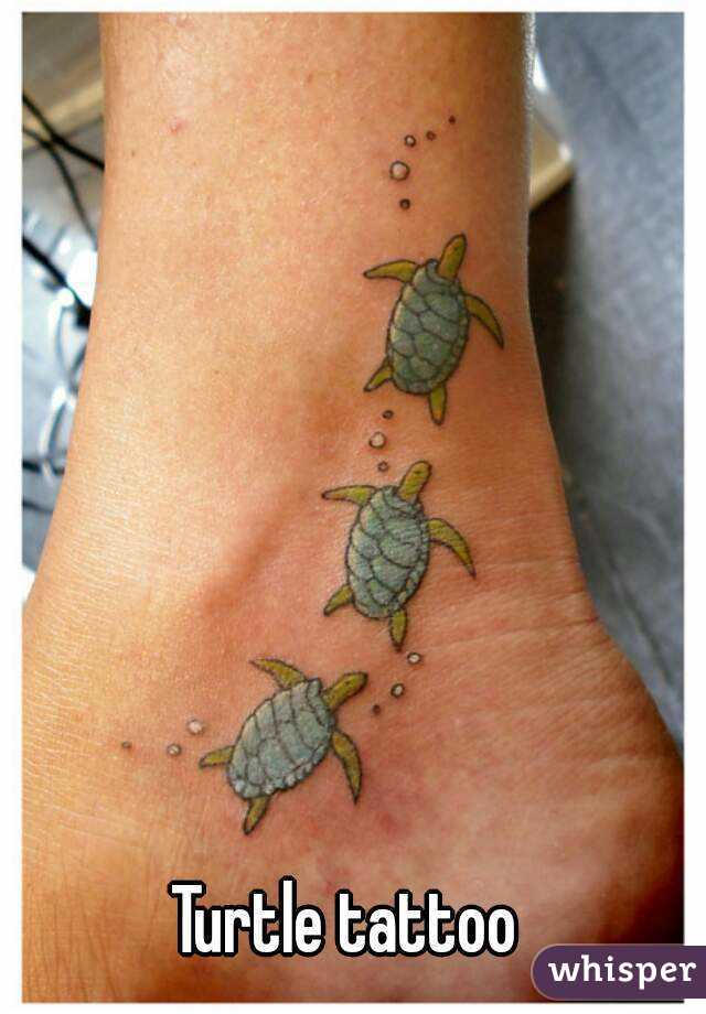 Turtle tattoo

