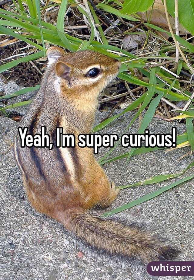 Yeah, I'm super curious!