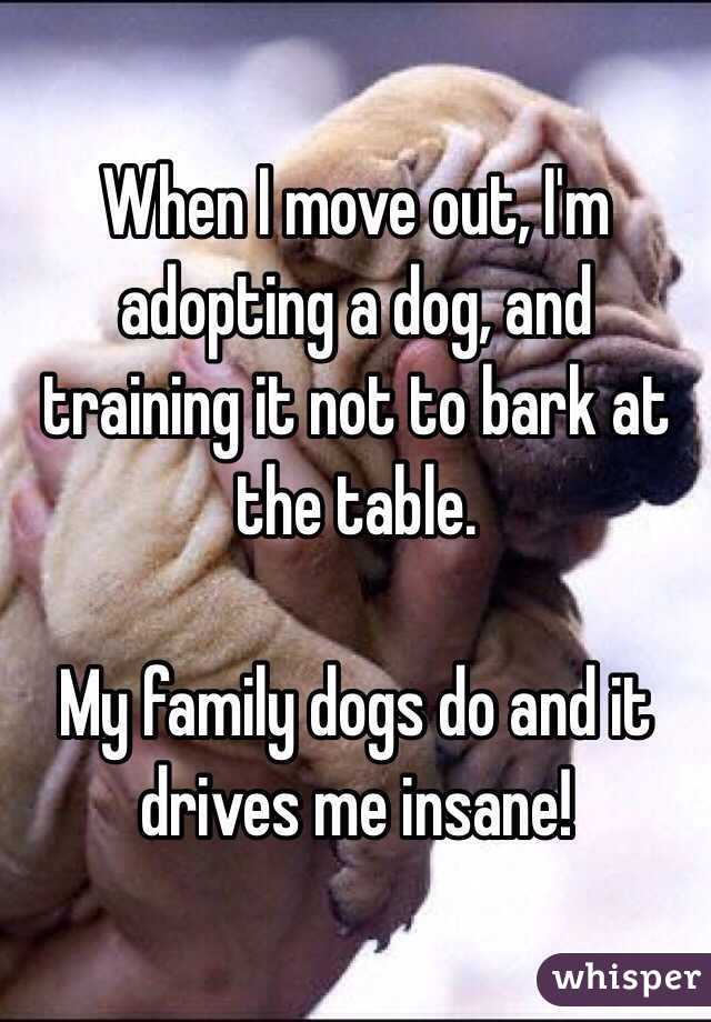When I move out, I'm adopting a dog, and training it not to bark at the table. 

My family dogs do and it drives me insane! 