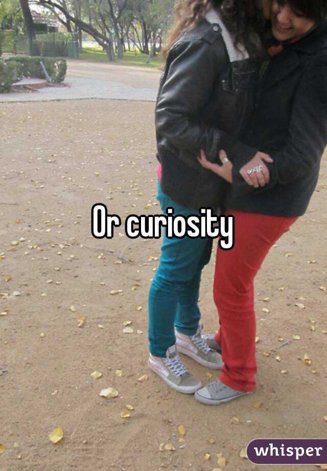 Or curiosity