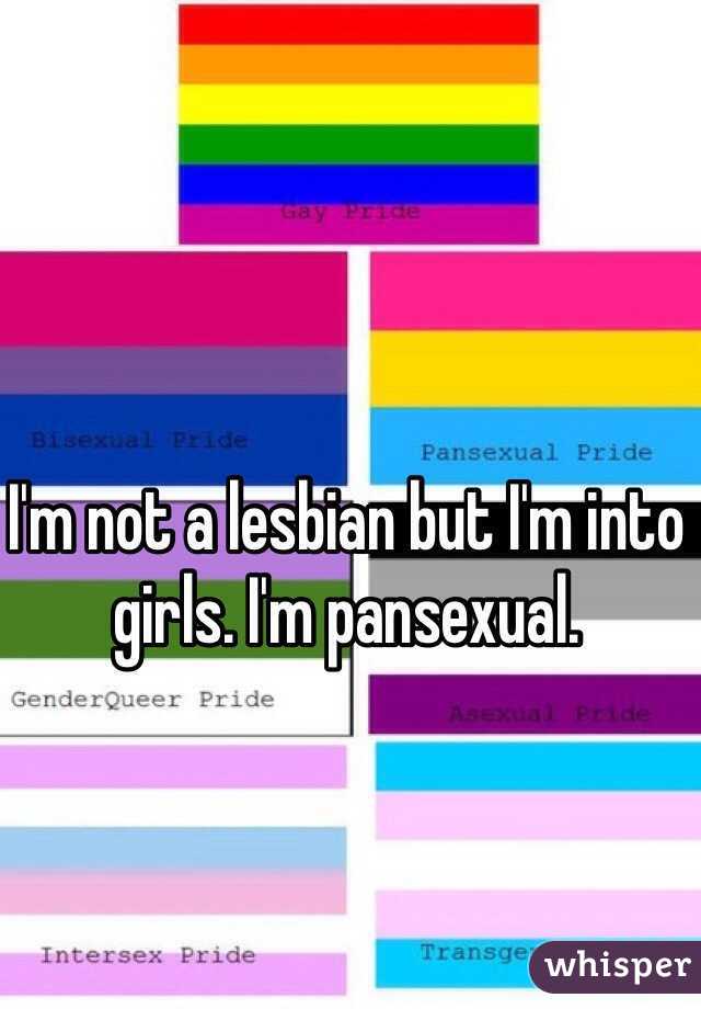 I'm not a lesbian but I'm into girls. I'm pansexual. 