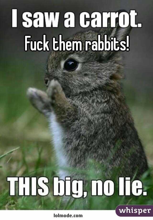 Fuck them rabbits!