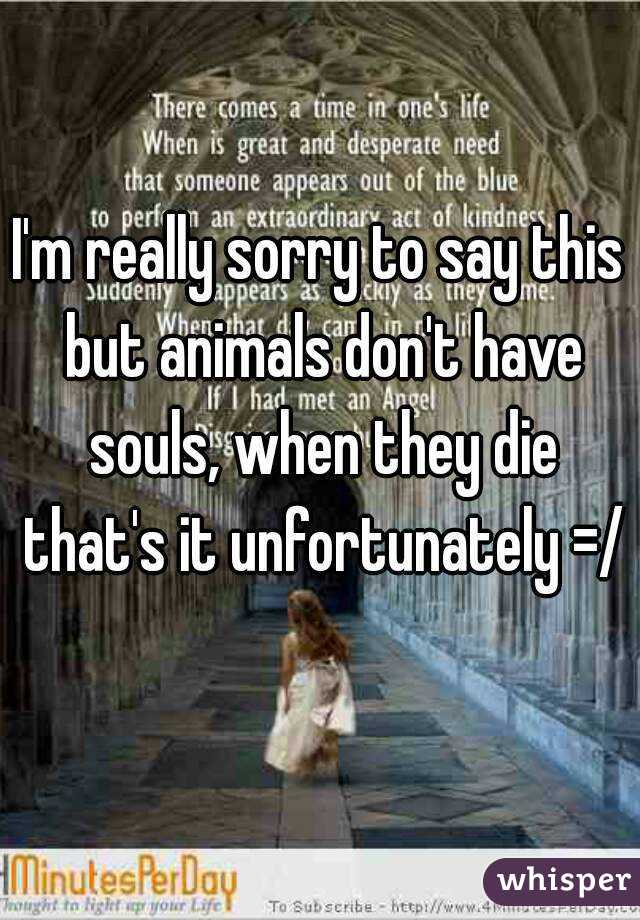 I'm really sorry to say this but animals don't have souls, when they die that's it unfortunately =/