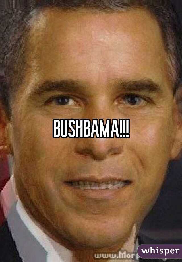 BUSHBAMA!!!