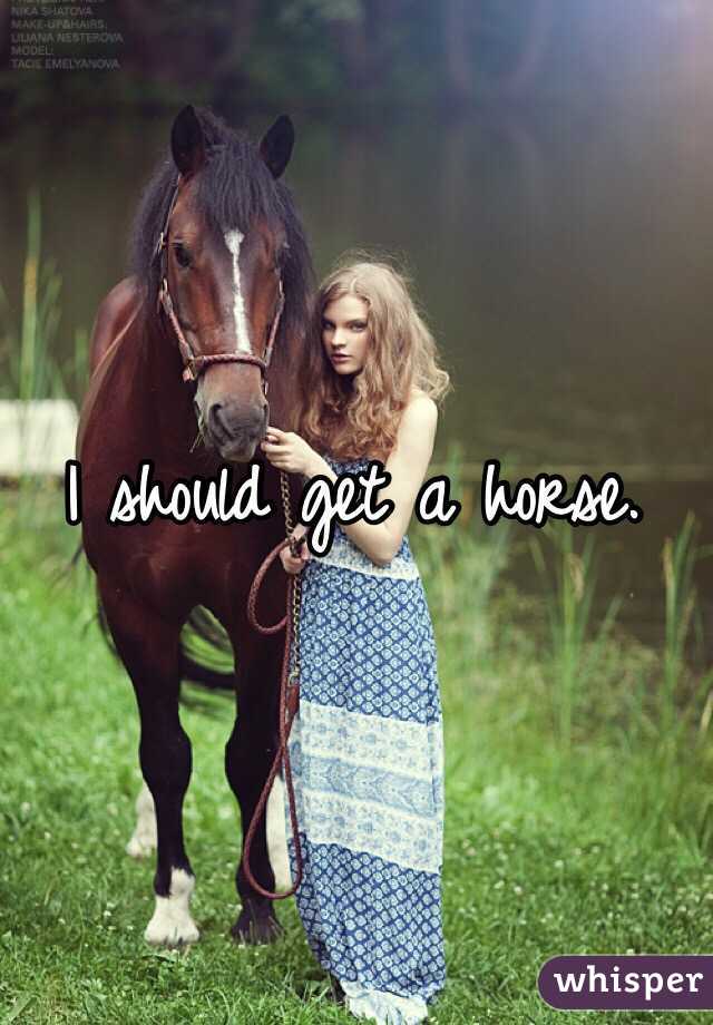 I should get a horse. 