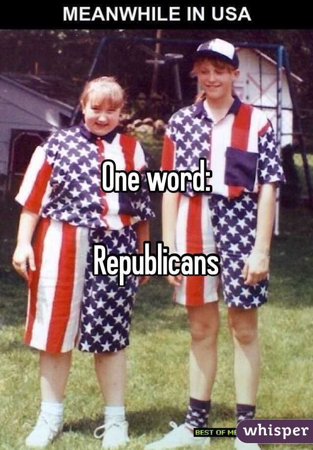 One word:

Republicans