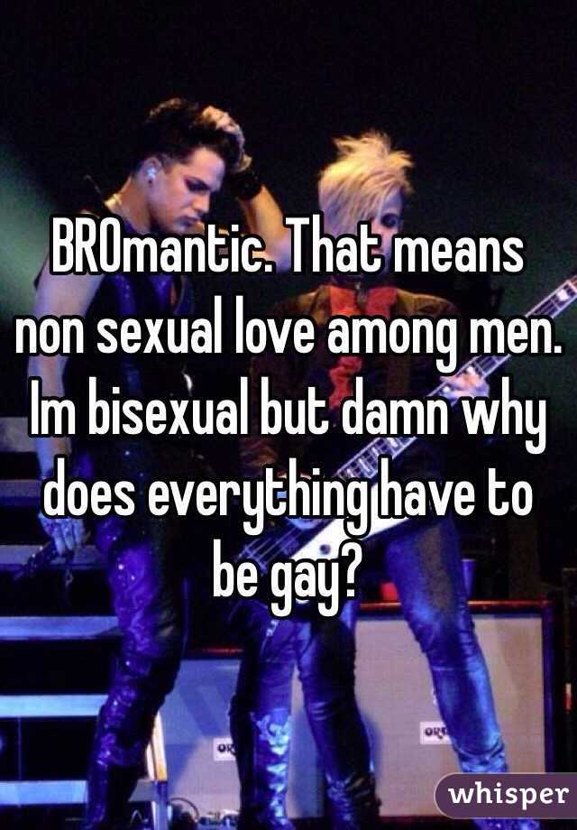 BROmantic. That means non sexual love among men. Im bisexual but damn why does everything have to be gay?