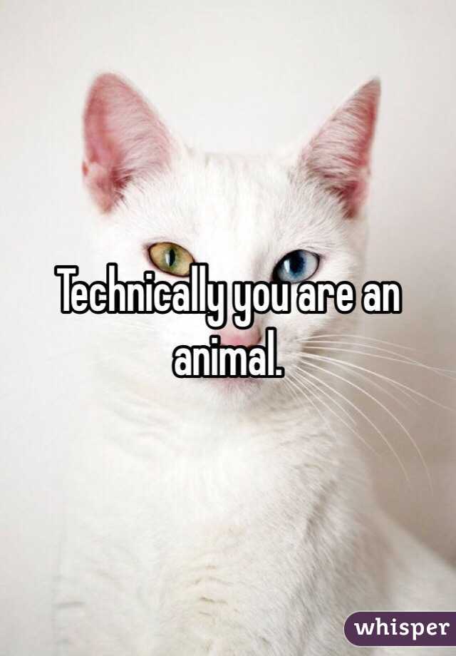 Technically you are an animal. 